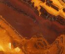 Polished Desert Sunset Banded Iron - Western Australia #65398-1